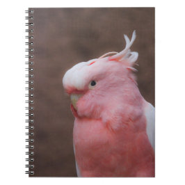 Caderno Espiral Cockatoa Rosa