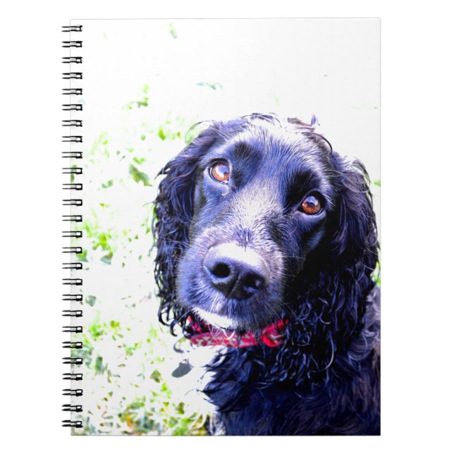 Caderno Espiral Cocker Spaniel (Frente)