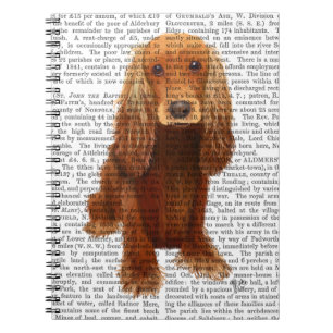 Caderno Espiral Cocker Spaniel Plain