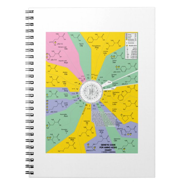 Caderno Espiral Código Genético Dos Aminoácidos (Roda Do Gráfico) (Frente)