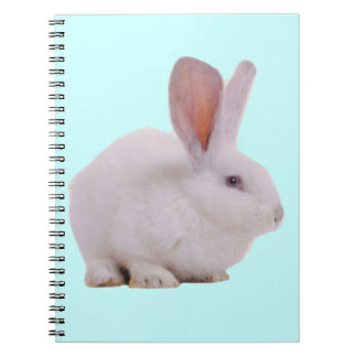 Caderno Espiral Coelhinho Bunny Fofinho Kawaii
