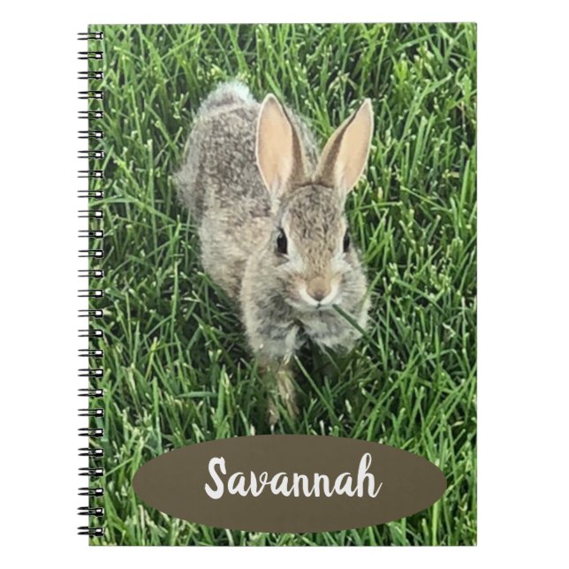 Caderno Espiral Coelhinho de Cottontail de Cubo Personalizado (Frente)