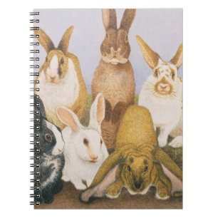 Caderno Espiral Coelhos afortunados