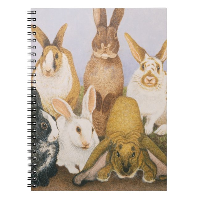 Caderno Espiral Coelhos afortunados (Frente)