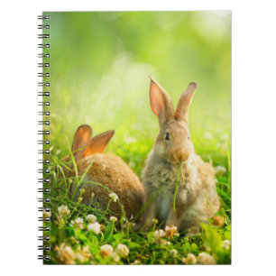 Caderno Espiral Coelhos da páscoa