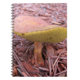 Caderno Espiral Cogumelo Boleto com Lamelas