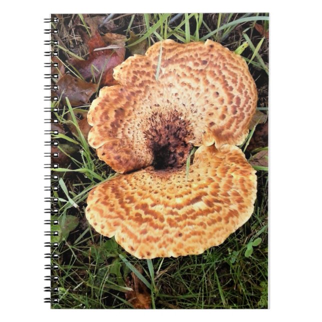 Caderno Espiral Cogumelo na Floresta (Frente)