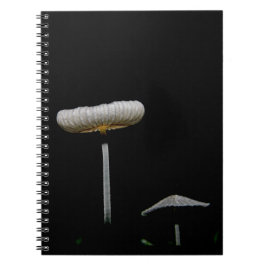 Caderno Espiral Cogumelos