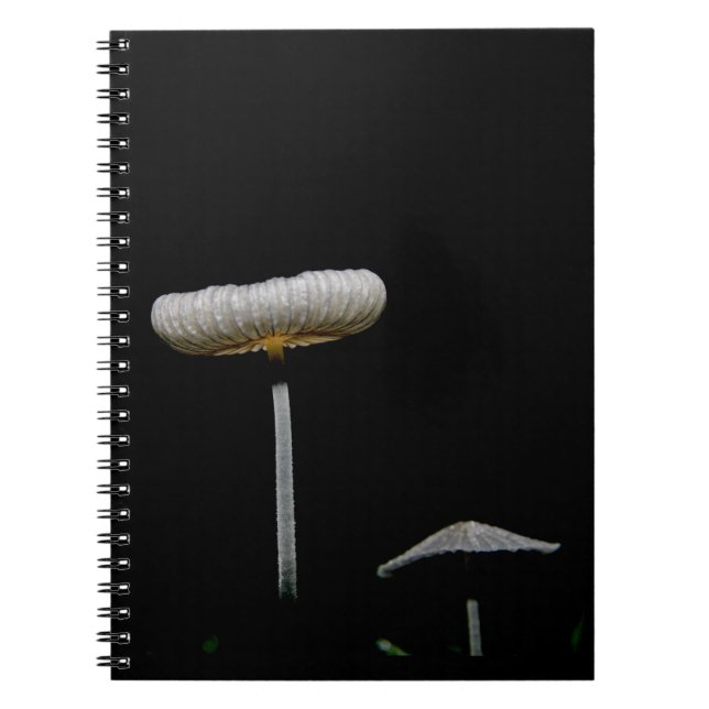Caderno Espiral Cogumelos (Frente)