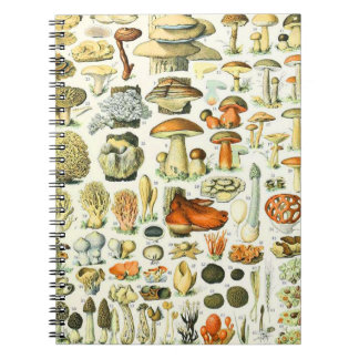 Caderno Espiral Cogumelos Adolphe Millot