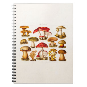 Caderno Espiral Cogumelos do vermelho da variedade do cogumelo dos