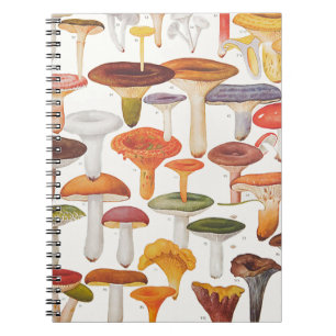 Caderno Espiral Cogumelos dos cogumelos de Les