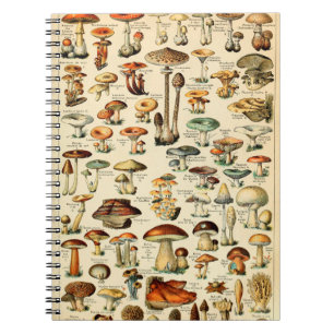 Caderno Espiral Cogumelos e fungos Vintage
