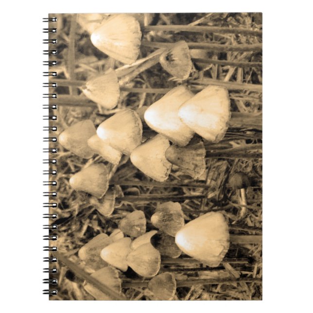 Caderno Espiral Cogumelos na sepia (Frente)