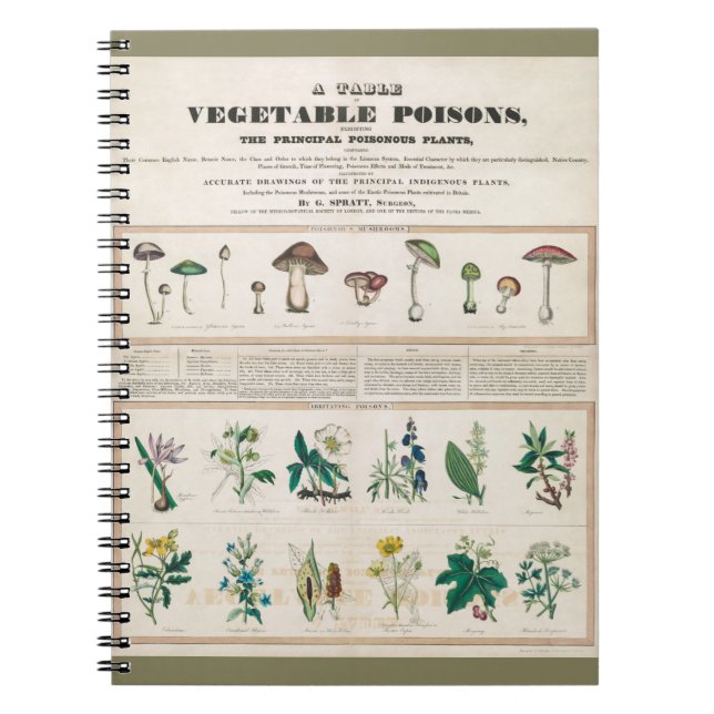 Caderno Espiral Cogumelos venenosos: venenos irritantes (Frente)