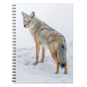 Caderno Espiral Coió alerta na neve