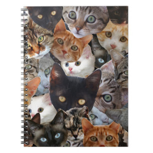 Caderno Espiral Colagem de Gatinhos