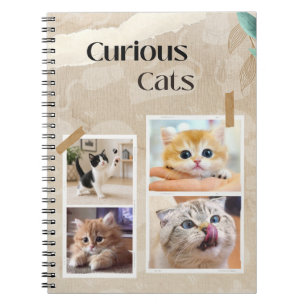 Caderno Espiral Colagem de Gatos Curiosos