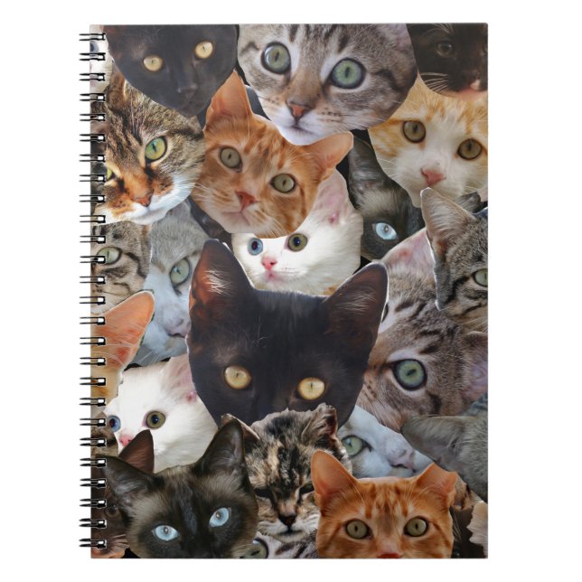 Caderno Espiral Colagem do gatinho (Frente)