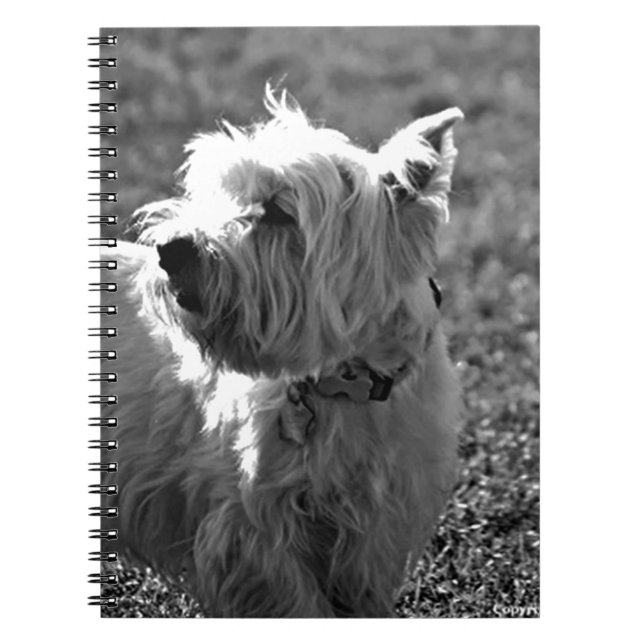 Caderno Espiral Coleção adorável de Westie Terrier (Frente)