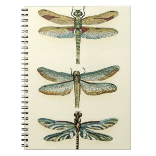 Caderno Espiral Coleção de Dragonfly por Chariklia Zarris