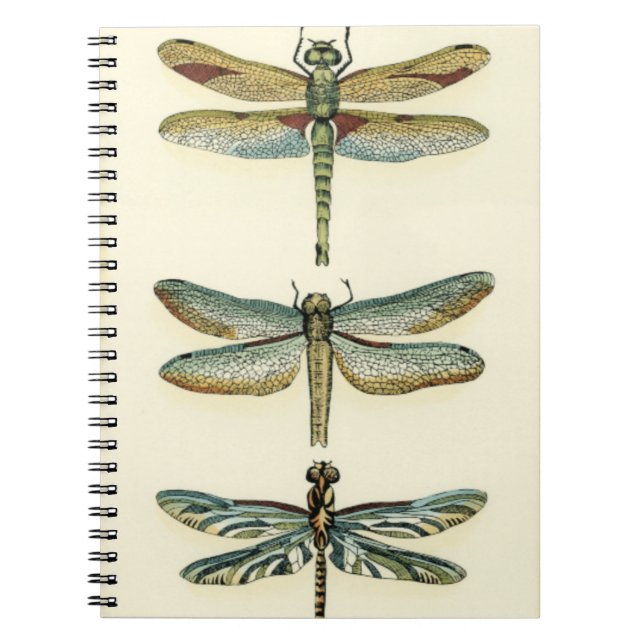Caderno Espiral Coleção Dragonfly por Chariklia Zarris (Frente)