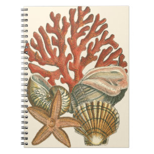 Caderno Espiral Coleção Sealife