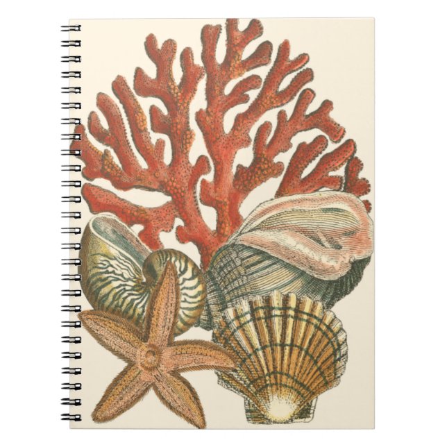 Caderno Espiral Coleção Sealife (Frente)
