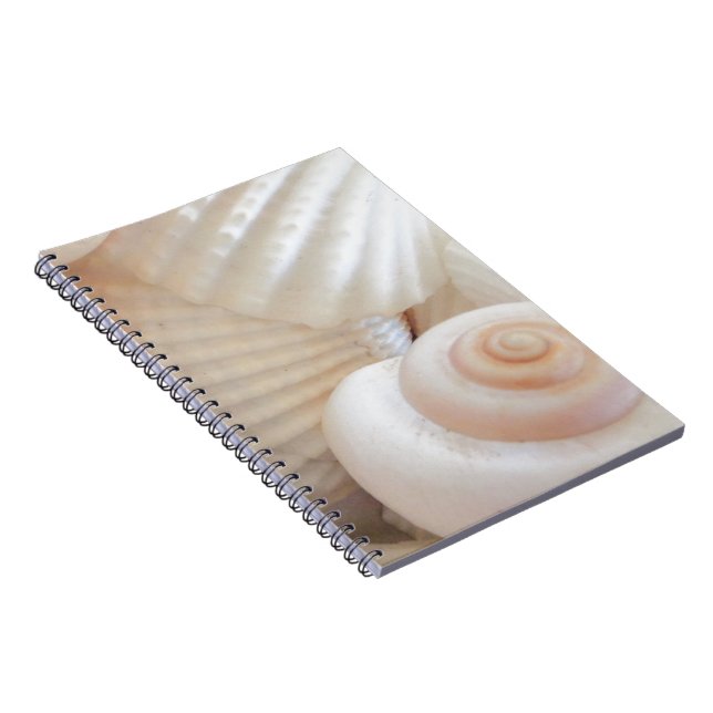 Caderno Espiral Coleção Sunny Summer Seashells (Lado Direito)