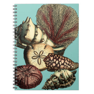 Caderno Espiral Coleção Turquesa Shell e Red Coral