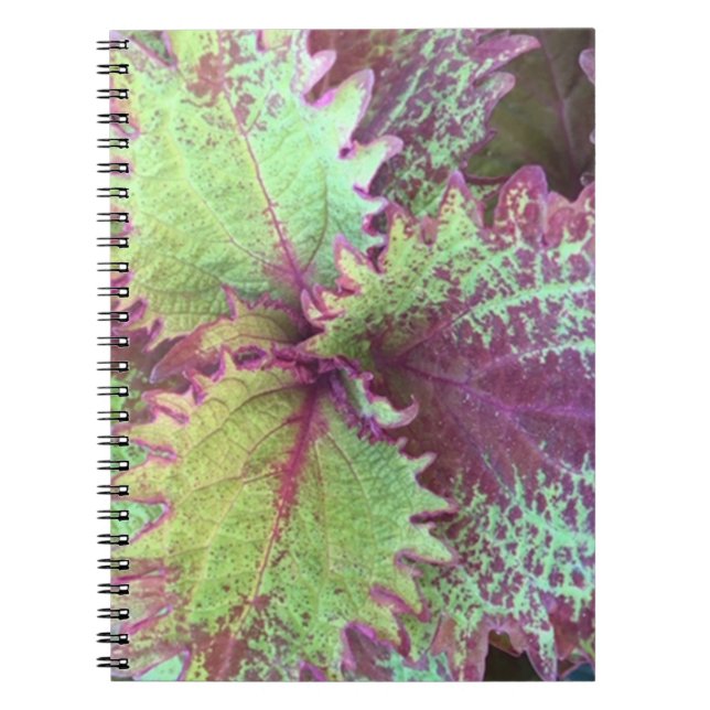 Caderno Espiral Coleus (Frente)