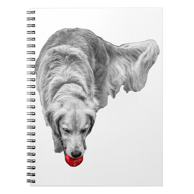 Caderno Espiral Colheita de Reflexões de Ember (Frente)