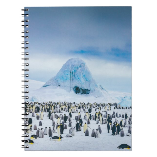 Caderno Espiral Colônia de Imperador Penguin (Frente)
