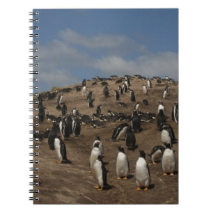 Caderno Espiral Colônia Gentoo Penguin (Pygoscelis papua) no Oeste