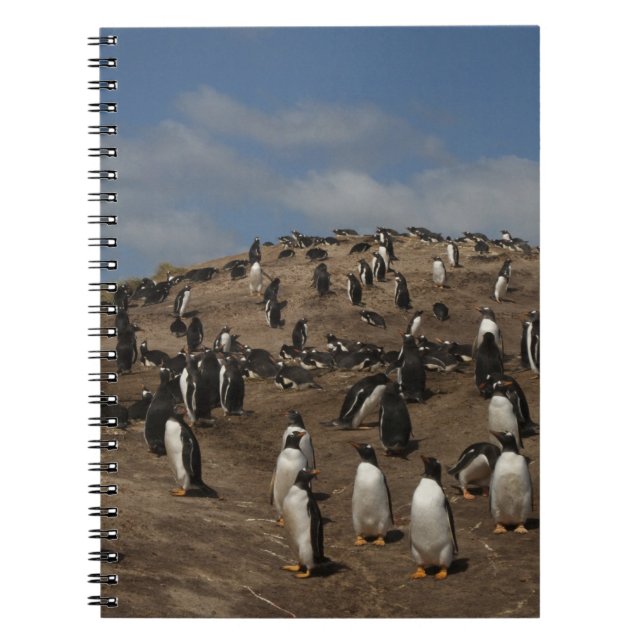 Caderno Espiral Colônia Gentoo Penguin (Pygoscelis papua) no Oeste (Frente)