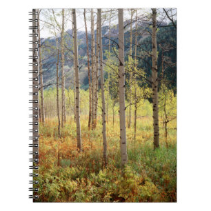 Caderno Espiral Colorado, cores de outono das árvores de álamo