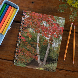 Caderno Espiral Colorful Autumn Leaves Photo