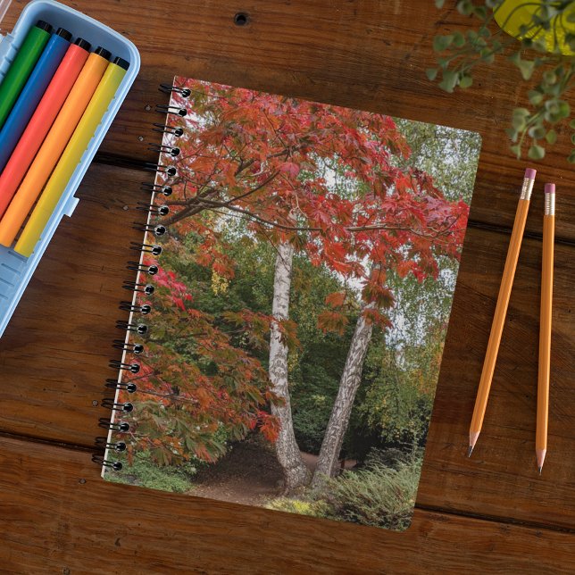 Caderno Espiral Colorful Autumn Leaves Photo (In Situ)