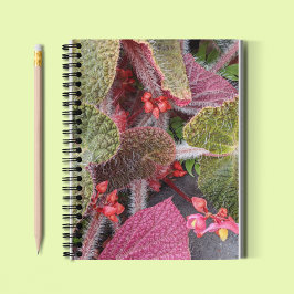 Caderno Espiral Colorida Hairy Begonia Floral