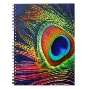 Caderno Espiral Colorida Peacock Feather Impressão