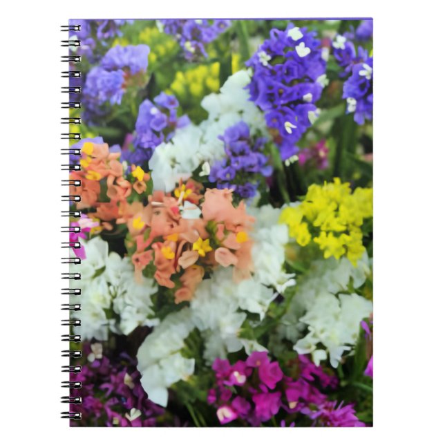Caderno Espiral Colorida Statice (Frente)