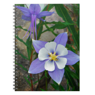 Caderno Espiral Columbina azul