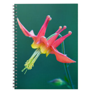 Caderno Espiral Columbina Vermelha