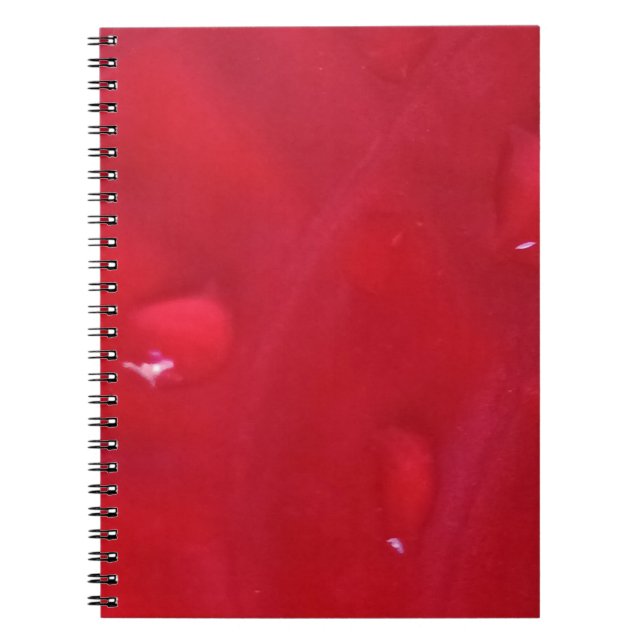 Caderno Espiral com Foto (Frente)