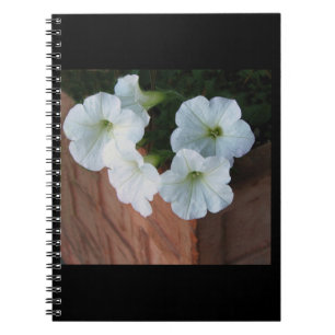 Caderno espiral com os petúnias brancos bonitos