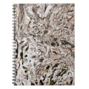 Caderno Espiral Composição da raiz da árvore