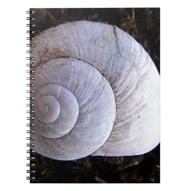 Caderno Espiral concha legal (Frente)