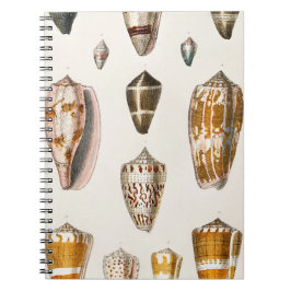 Caderno Espiral Conchas de Uma história da Terra 2