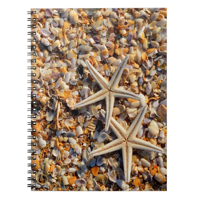 Caderno Espiral Conchas e Starfish (Frente)