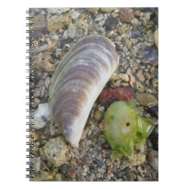 Caderno Espiral Conchas em uma praia